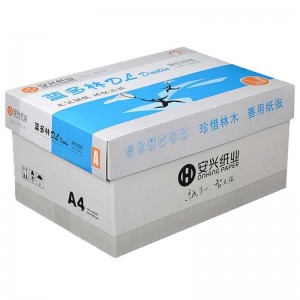 蓝多林复印纸 70G A4 500张/包 10包/箱（共5000张/箱）