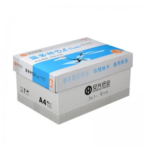 蓝多林复印纸 80G A4 500张/包 10包/箱（共5000张/箱）