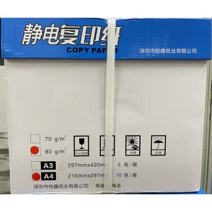 柏鑫纸业 蓝雅旺A4 80g 复印纸 500张/包 10包/箱 白色 单位:箱