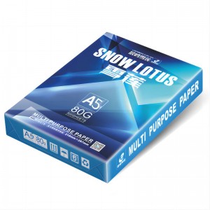 晨鸣雪莲多功能复印纸80G A5 500张/包 10包/箱（单位：包）