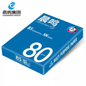 晨鸣多功能复印纸80G B5 500张/包 8包/箱（单位：包）