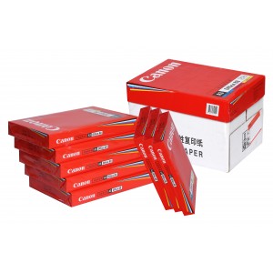 佳能 A3 80G 白色 500 张/包 复印纸 5包/箱（单位：箱）