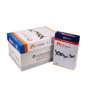 博之源复印纸 A4 80G 500张/包 5包/箱